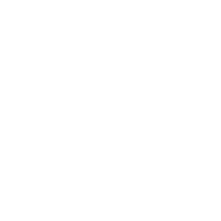 wit-aeternus