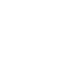 wit-hays